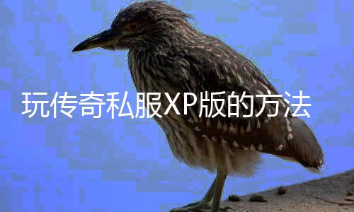 玩传奇私服XP版的方法与攻略,XP玩传奇私服必备指南