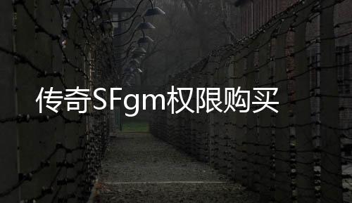 传奇SFgm权限购买